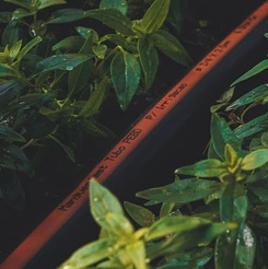 MANGUEIRA POLIET. METRO B  3/4   AGUA LARANJA ref. 026286