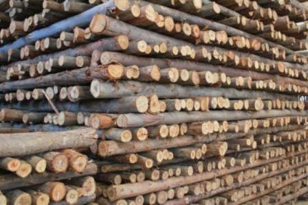 PONTALETE 6.00 MTS ref. 03.0016