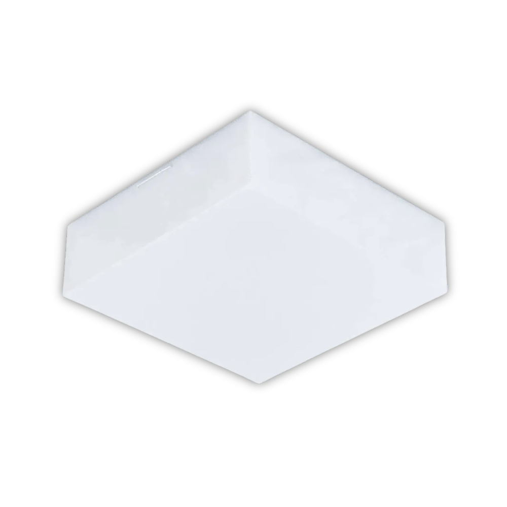 LUMINARIA PLAFON R.441/2 2 LAMP. ACRILICO ref. 019029