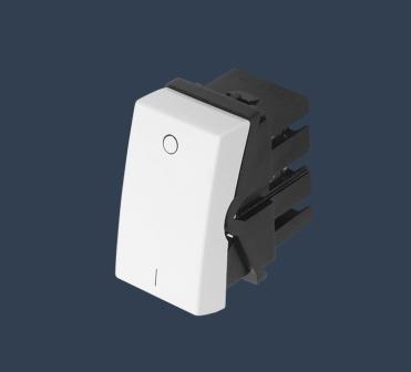 MODULO FAME MODU / EVID / B+ INT.BIP.PARA.16A 2870 ref. 019904