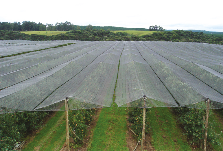 TELA POLIETILENO ANTI-GRANIZO BRANCA 3.00 MTS ref. 023083