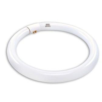 LAMPADA FLUOR.CIRCULAR 40W S/REAT. ref. 12.0669