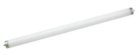 LAMPADA FLUOR. 10 W T8 ref. 12.0324